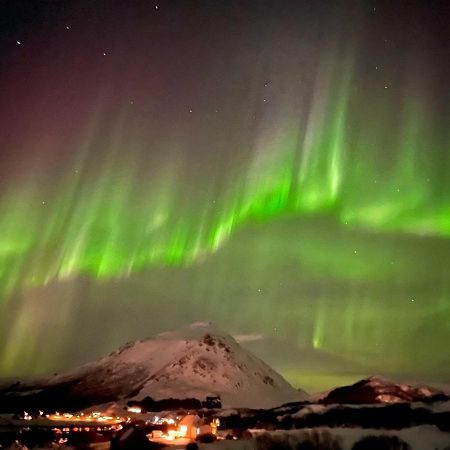 Lofoten Seazens Panorama Leknes Ngoại thất bức ảnh