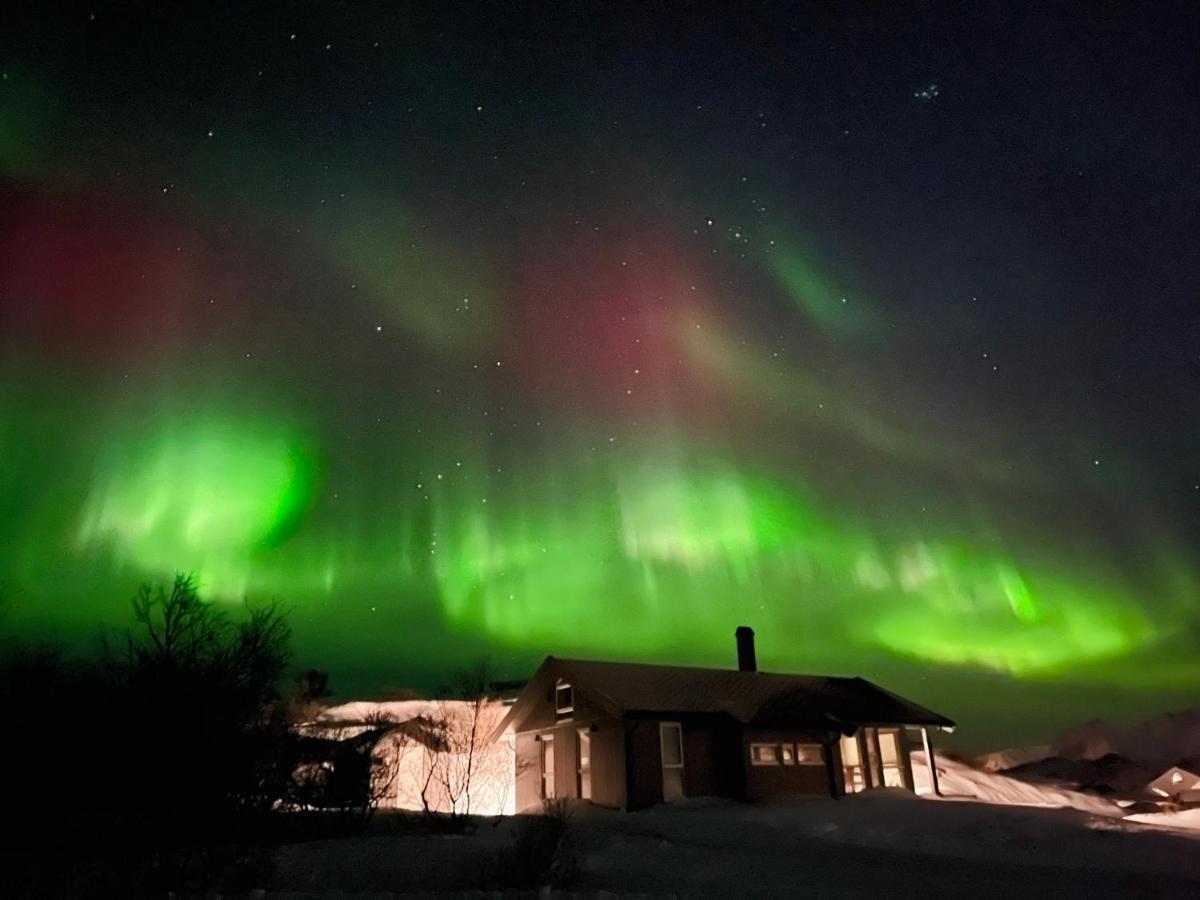 Lofoten Seazens Panorama Leknes Ngoại thất bức ảnh